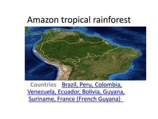 Amazon tropical rainforest




 Countries Brazil, Peru, Colombia,
Venezuela, Ecuador, Bolivia, Guyana,
Suriname, France (French Guyana)
 