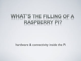 hardware & connectivity inside the Pi
 