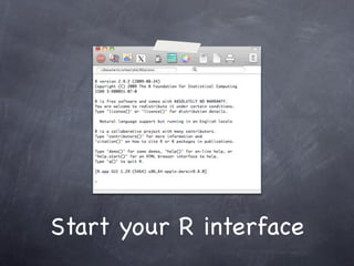 Start your R interface
 