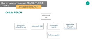 17Mise en place du règlement REACH , TUNISIE
CABLES
Procédure REACH
Cellule REACH
 