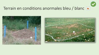 Terrain en conditions anormales bleu / blanc
 
