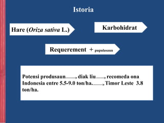 INFLUNSA INVIGORASAUN BA VIABILIDADE NO PRODUSAUN HARE | PPTX