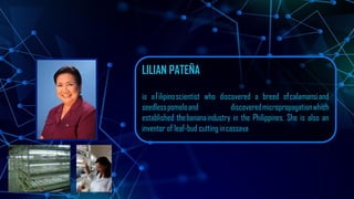 LILIAN PATEÑA
is aFilipinoscientist who discovered a breed ofcalamansiand
seedlesspomeloand discoveredmicropropagationwhich
established thebananaindustry in the Philippines. She is also an
inventor of leaf-bud cutting incassava
 