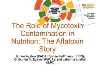 The Role of Mycotoxin
Contamination in
Nutrition: The Aflatoxin
Story
Amare Ayalew (PACA), Vivian Hoffmann (IFPRI),
Chibundu N. Ezekiel (PACA), and Jahanna Lindhal
(ILRI)
 