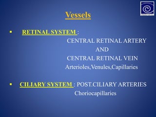 Vessels
 RETINAL SYSTEM :
CENTRAL RETINAL ARTERY
AND
CENTRAL RETINAL VEIN
Arterioles,Venules,Capillaries
 CILIARY SYSTEM : POST.CILIARY ARTERIES
Choriocapillaries
 