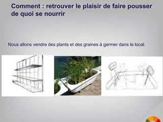 Comment : retrouver le plaisir de faire pousser
de quoi se nourrir
Nous allons vendre des plants et des graines à germer dans le local.
 