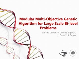 Modular Multi-Objective Genetic Algorithm for Large Scale Bi-level ...