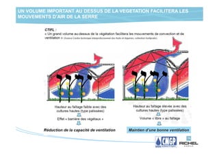 UN VOLUME IMPORTANT AU DESSUS DE LA VEGETATION FACILITERA LES
MOUVEMENTS D’AIR DE LA SERRE
 
