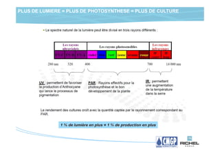 PLUS DE LUMIERE = PLUS DE PHOTOSYNTHESE = PLUS DE CULTURE
 