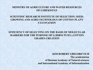MINISTRY OF AGRICULTURE AND WATER RESOURCES
OF UZBEKISTAN
SCIENTIFIC RESEARCH INSTITUTE OF SELECTION, SEED-
GROWING AND AGRO-TECHNOLOGY OF COTTON PLANT
CULTIVATION
EFFICIENCY OF SELECTING ON THE BASIS OF MOLECULAR
MARKERS FOR THE PURPOSE OF G.HIRSUTUM L.COTTON
GRADES CREATION
KIM ROBERT GRIGOREVICH
The academician
of Russian Academy of Natural sciences
and International Academy of Informatization
 