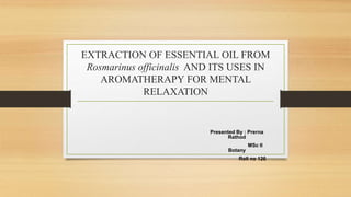 EXTRACTION OF ESSENTIAL OIL FROM
Rosmarinus officinalis AND ITS USES IN
AROMATHERAPY FOR MENTAL
RELAXATION
Presented By : Prerna
Rathod
MSc II
Botany
Roll no 126
 
