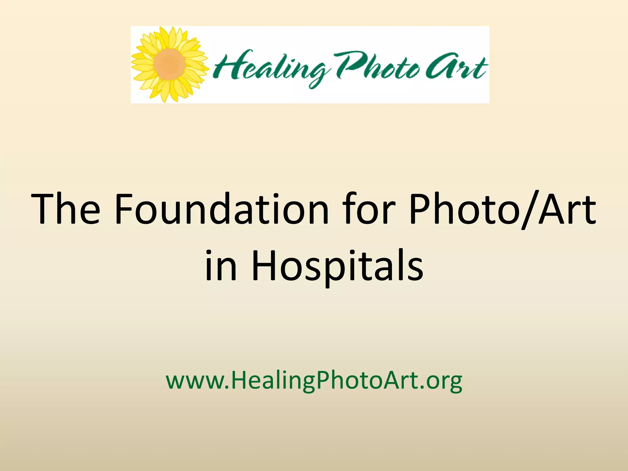 Presentation of Foundation to Rotary Club