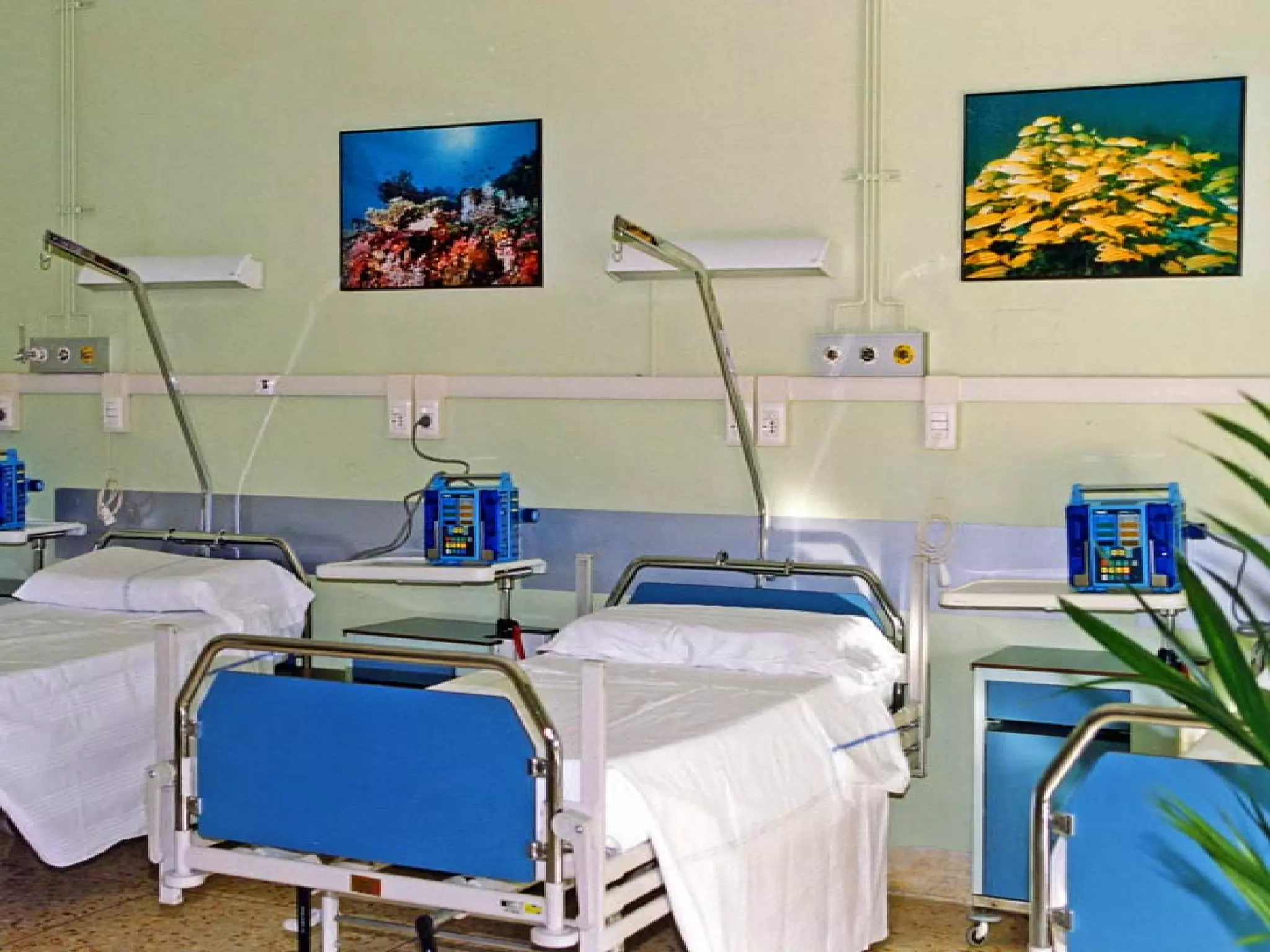 Presentation of Foundation to Rotary Club