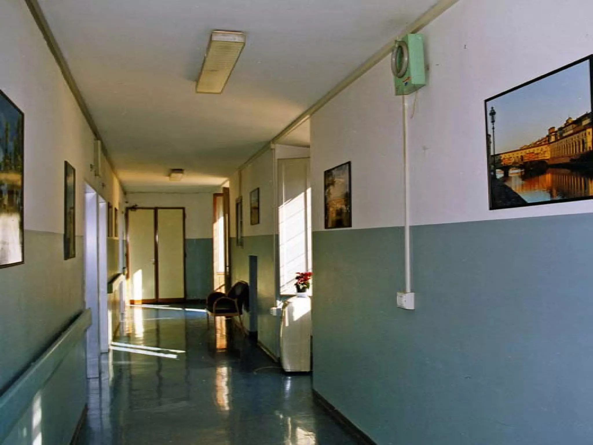 Presentation of Foundation to Rotary Club