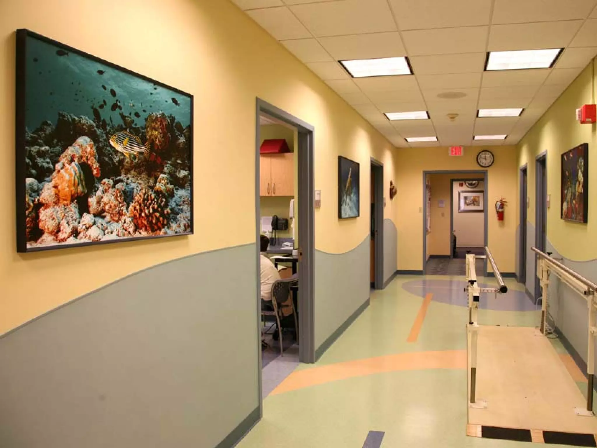 Presentation of Foundation to Rotary Club