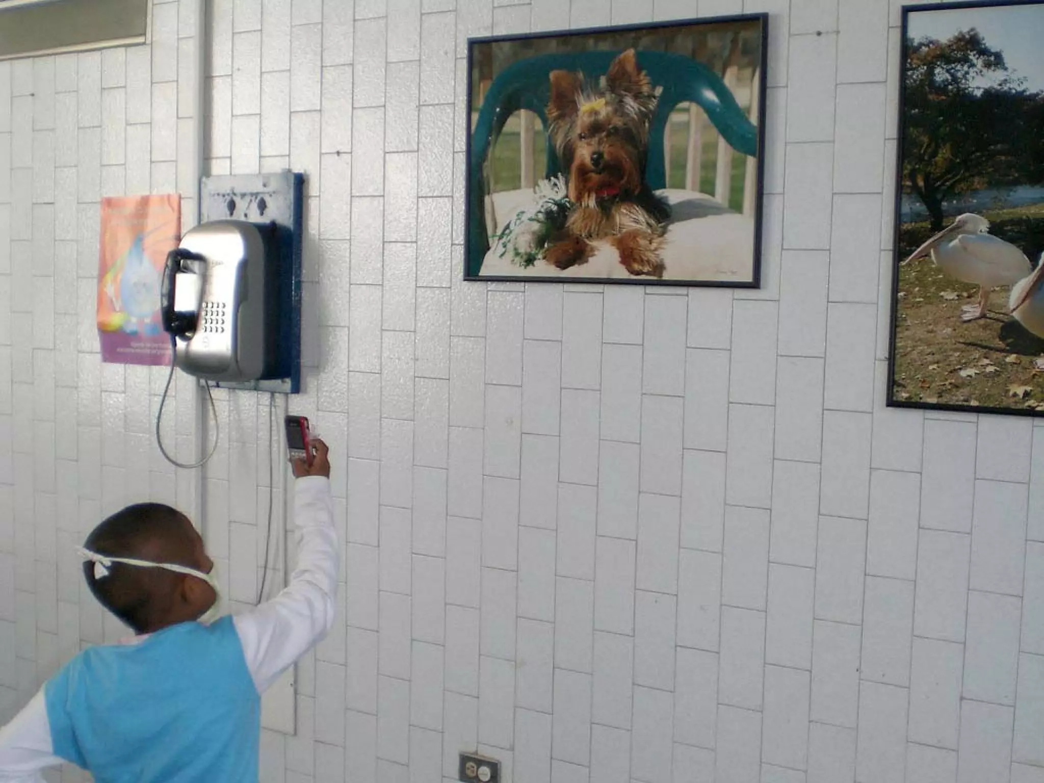 Presentation of Foundation to Rotary Club