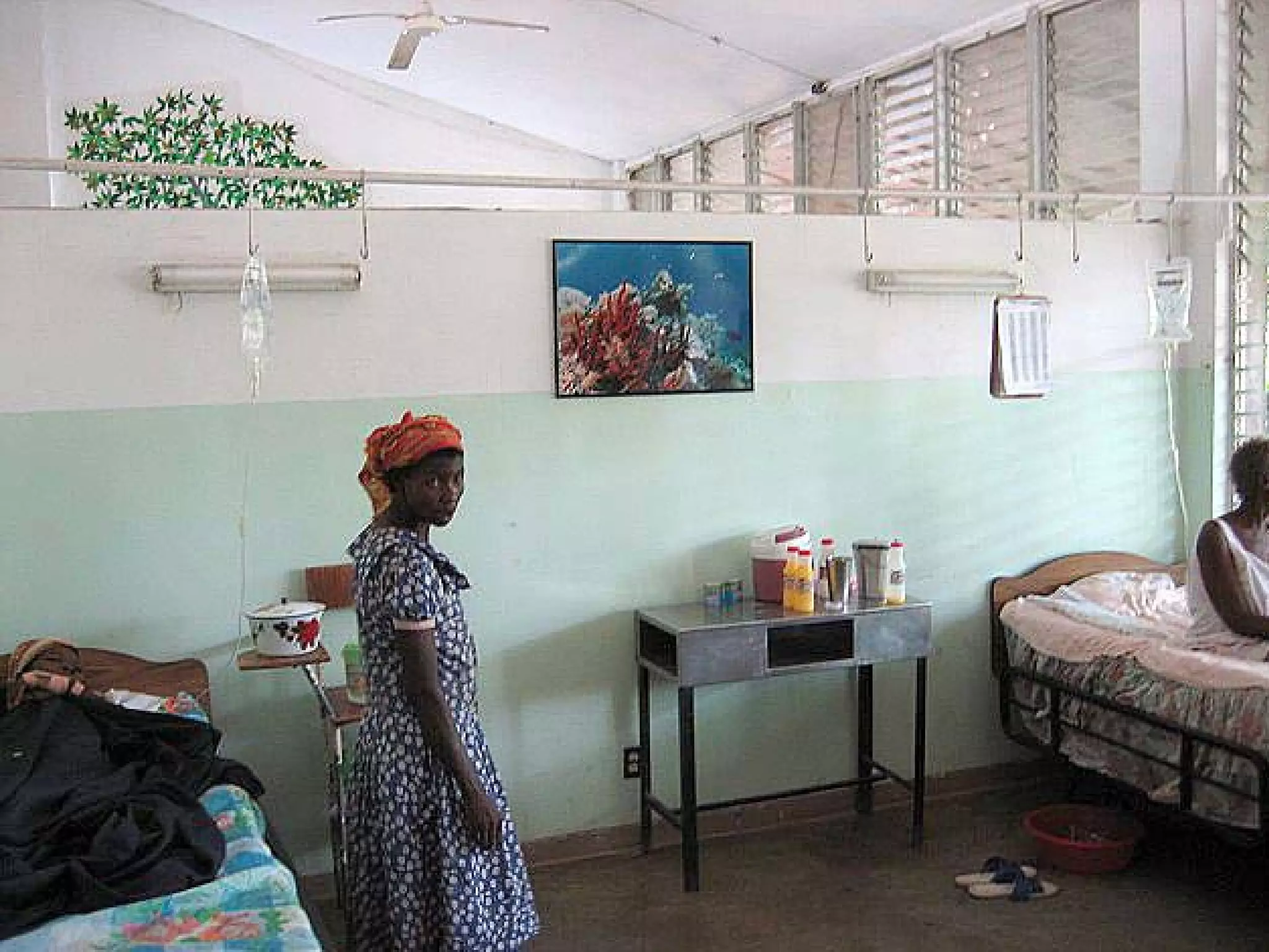 Presentation of Foundation to Rotary Club