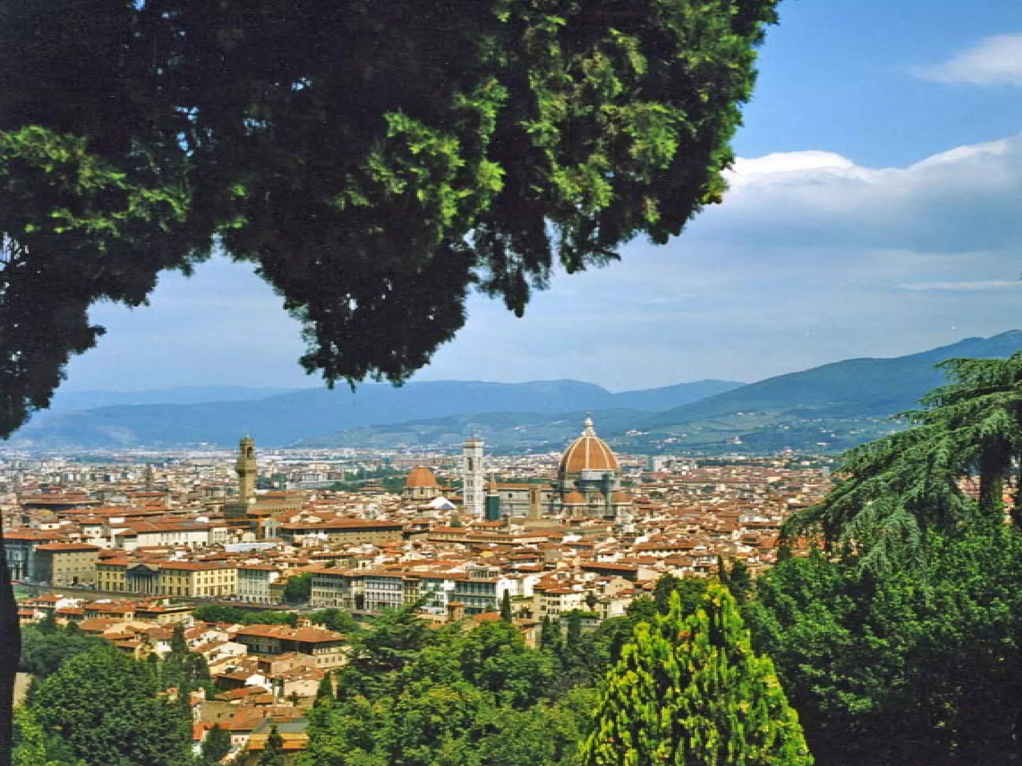 Presentation of Foundation to Rotary Club