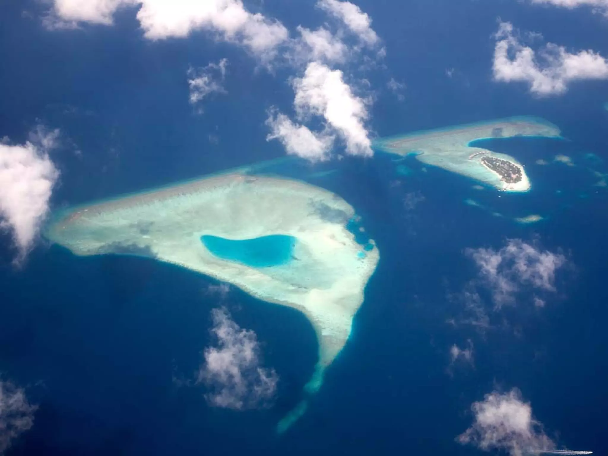 Presentation of Foundation to Rotary Club