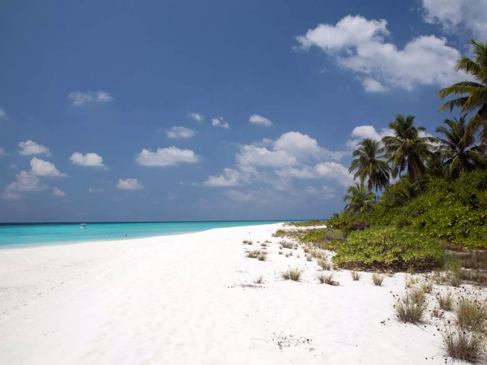 Presentation of Foundation to Rotary Club