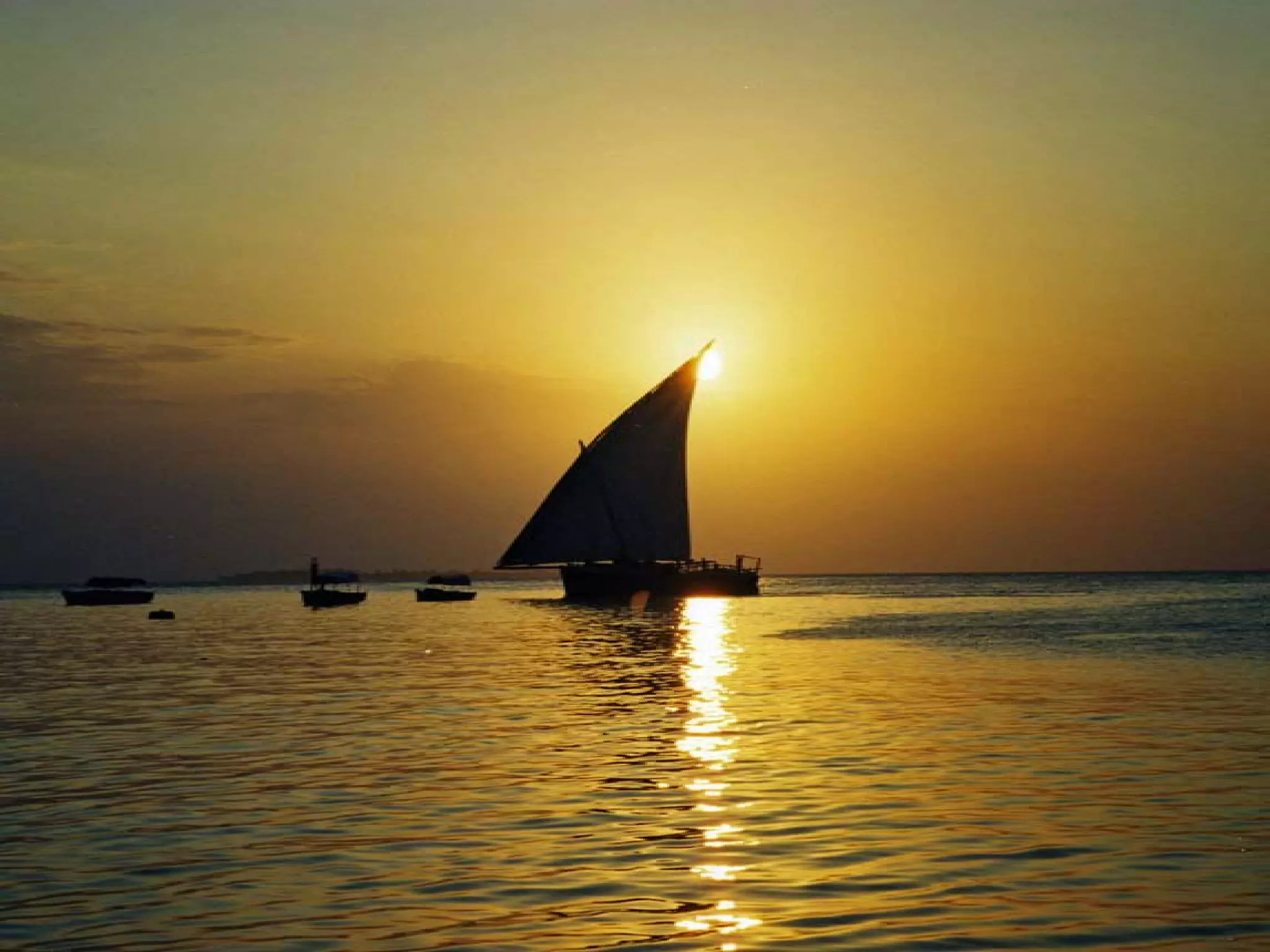 Presentation of Foundation to Rotary Club