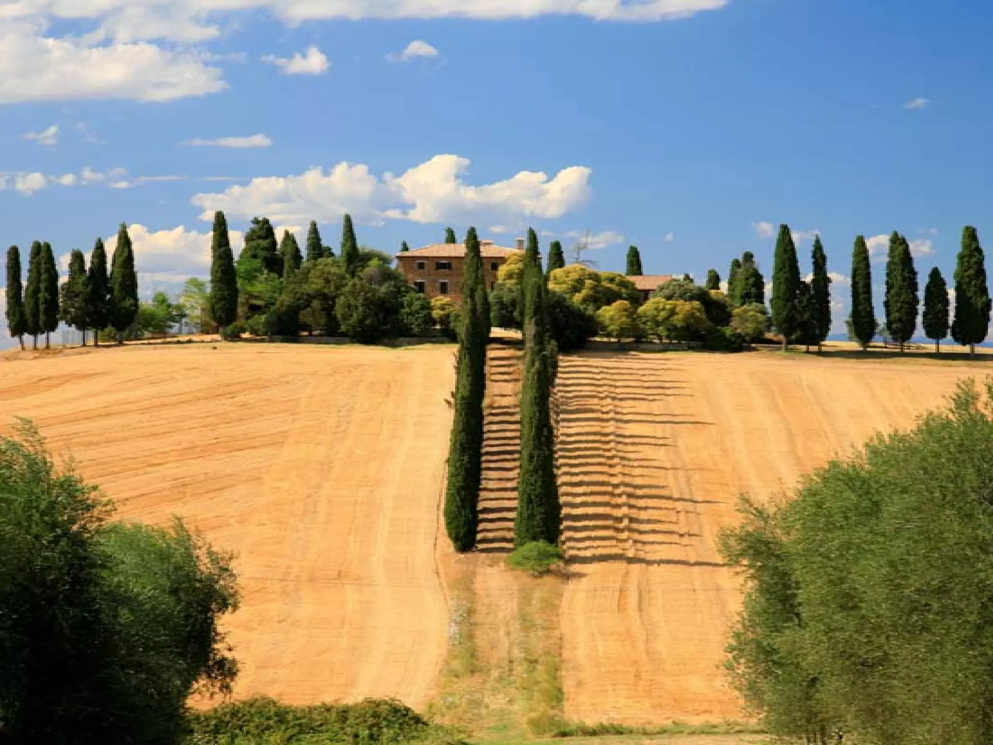 Presentation of Foundation to Rotary Club
