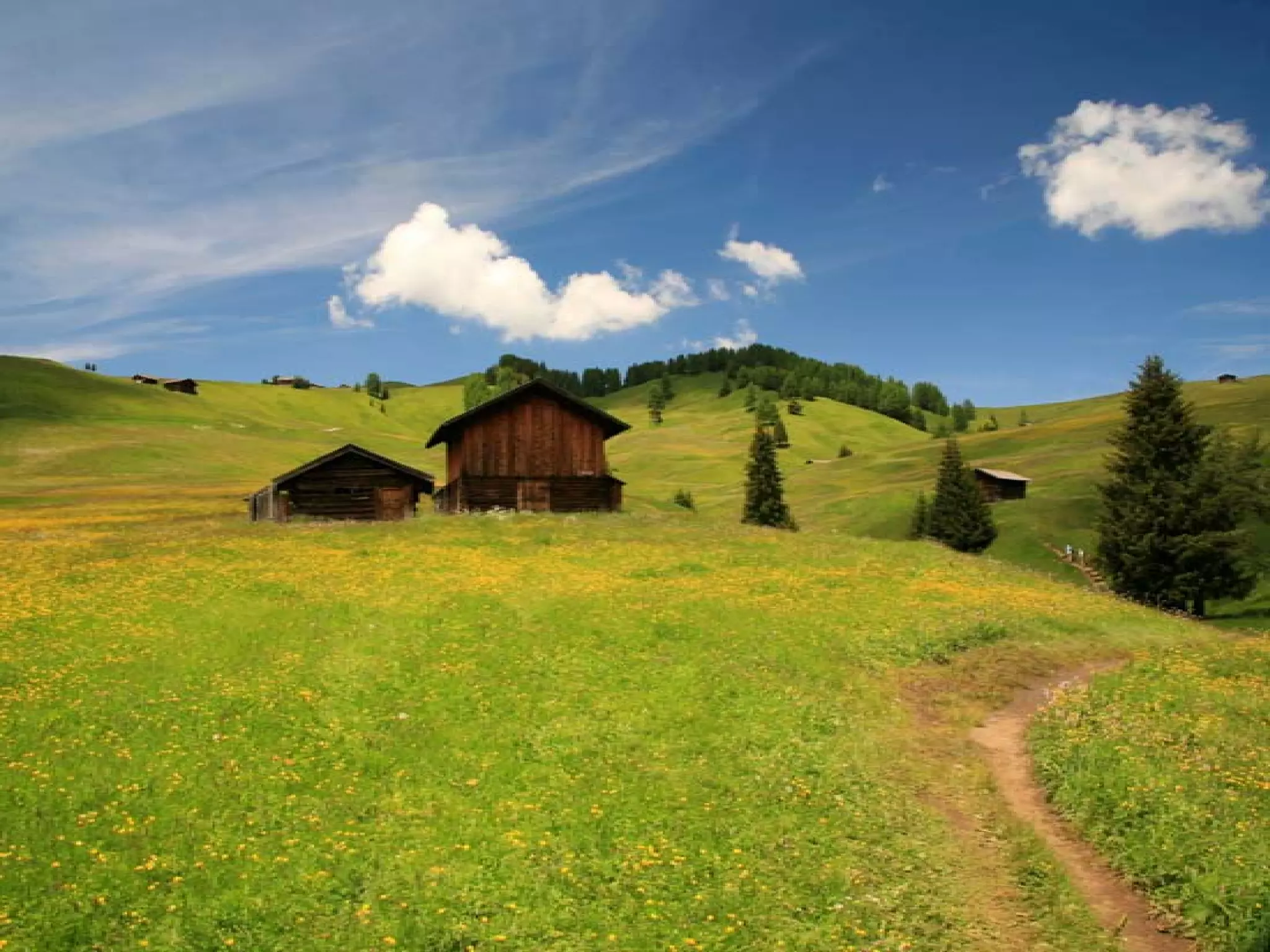 Presentation of Foundation to Rotary Club