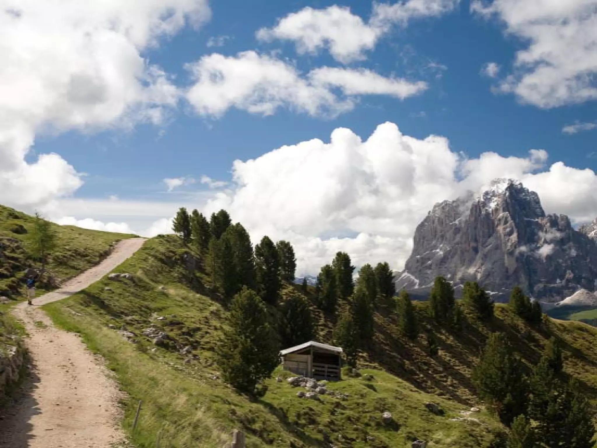 Presentation of Foundation to Rotary Club