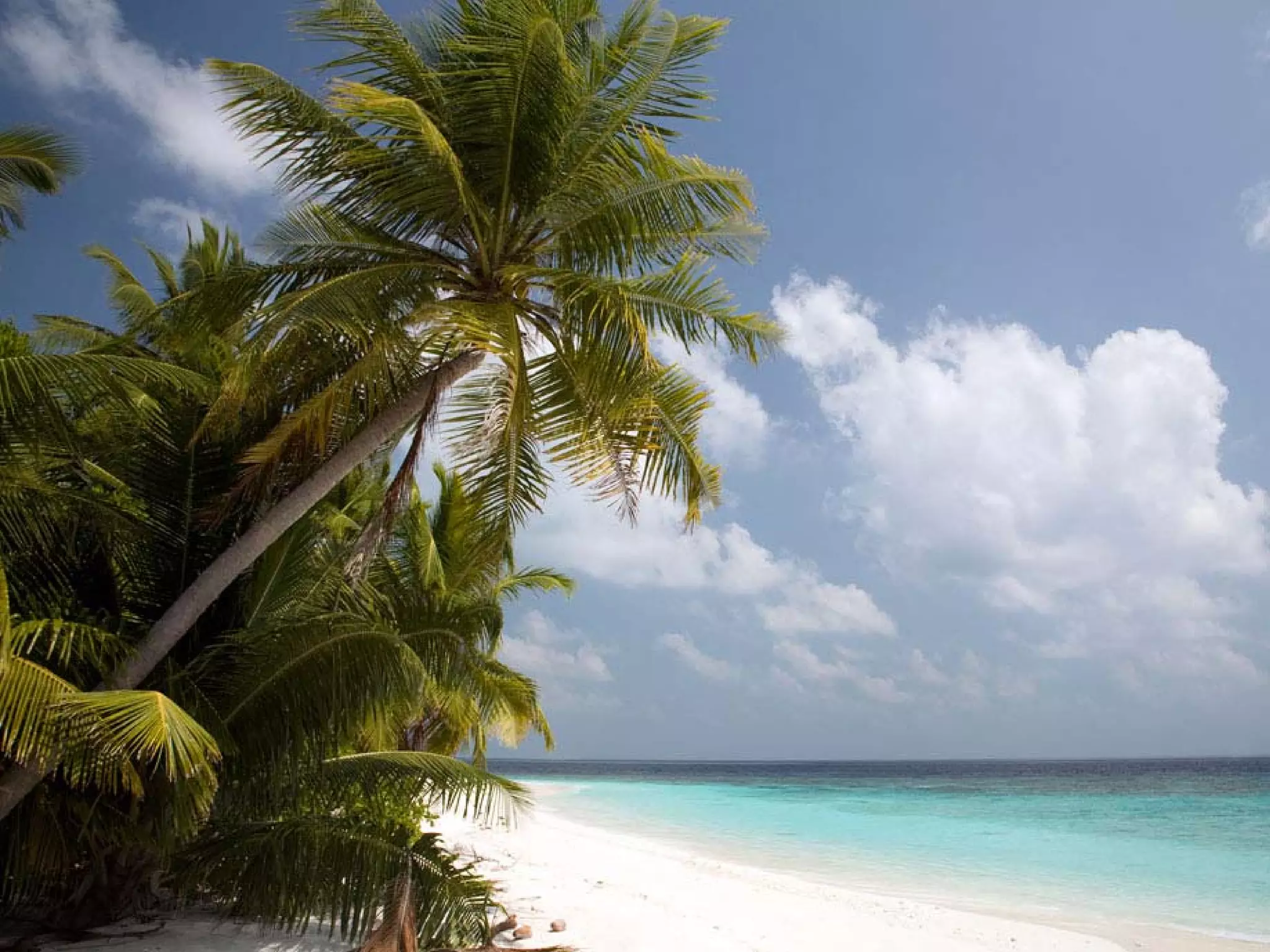 Presentation of Foundation to Rotary Club