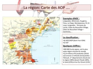 La classification :
•36 AOC/AOP (dont 4 en VDN)
•22 IGP
Quelques chiffres :
•300 000 ha de vignes, soit la plus
vaste région vinicole du monde
•12,4 millions d’hl produites (2014)
soit environ 2 milliards de bouteilles
•Hérault, 1er département viticole de
la région (38%) devant l’Aude (28%),
le Gard (23%) et les Pyr Orient (11%)
La région: Carte des AOP ….
Exemples d’AOC :
Languedoc, Minervois, Faugères,
Fitou, La Clape, Montpeyroux, Pic St
Loup, Languedoc - Terrasses du
Larzac, Côtes du Roussillon Village,
Côtes du Roussillon Village –
Caramany, …
 