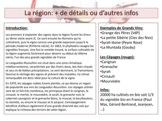 Exemples de Grands Vins:
•Grange des Pères (VdP)
•La petite Sibérie (Clos des fées)
•Syrah léone (Peyre Rose)
•La Muntada (Gauby)
Les Cépages (rouge):
•Carignan
•Grenache
•Syrah
•Cinsault
•Mourvèdre
Infos:
20000 ha cultivés en bio soit 1/3
du vignoble bio en France (Paul
Mas, Gérard Bertrand, Jeanjean,
…)
Introduction:
Les premiers à implanter des vignes dans la région furent les Grecs
au Vème siècle avant JC. Ce sont ensuite les Romains qui la
cultivèrent, puis la vigne connut une grande expansion jusqu’à la
période moderne (XVIIème siècle). En 1863, le phylloxéra ravagea les
vignobles français. Une fois le remède trouvé, la surface cultivable de
la région augmenta fortement pour devenir au début du XXème
siècle, l’un des plus grands vignobles de France
Le Languedoc-Roussillon est situé dans une zone climatique
méditerranéenne, caractérisée par des hivers doux, des étés chauds
et secs et de faibles précipitations. Le vent dominant, la Tramontane,
favorise le séchage des vignes et prévient des maladies. Ce climat
remarquable est donc idéal pour la culture de la vigne.
En 1970, les cépages nobles furent plantés, ce qui donna un regain
de popularité aux vins du Languedoc-Roussillon. Les cépages utilisés
sont de ce fait très nombreux, les principaux étant le carignan, le
cinsault, le merlot, le mourvèdre, la syrah, le grenache noir, le
cabernet-sauvignon et le grenache blanc, le muscat, le bourboulenc,
la clairette, ou encore le mauzac et le picpoul. L’encépagement
bénéficie d’ailleurs également d’une grande diversité des sols qui
explique la richesse des terroirs de cette région.
La région: + de détails ou d’autres infos
 