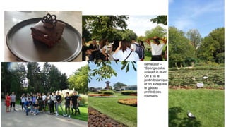 6ème jour –
“Sponge cake
soaked in Rum”
On a vu le
jardin botanique
et on a degusté
le gâteau
préféré des
roumains
 