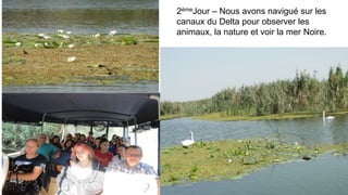 2èmeJour – Nous avons navigué sur les
canaux du Delta pour observer les
animaux, la nature et voir la mer Noire.
 