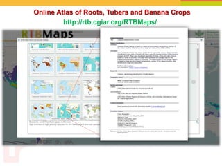 Online Atlas of Roots, Tubers and Banana Crops