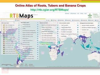 Online Atlas of Roots, Tubers and Banana Crops