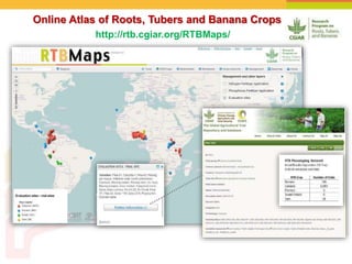 Online Atlas of Roots, Tubers and Banana Crops