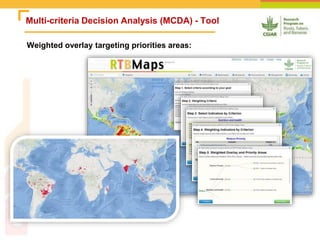 Online Atlas of Roots, Tubers and Banana Crops