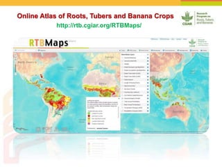 Online Atlas of Roots, Tubers and Banana Crops