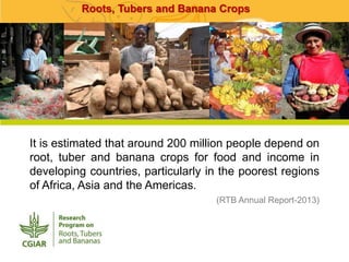 Online Atlas of Roots, Tubers and Banana Crops