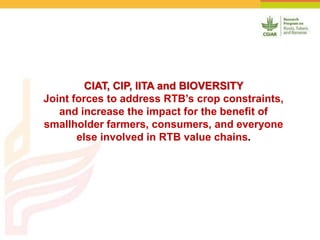 Online Atlas of Roots, Tubers and Banana Crops