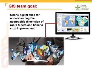 Online Atlas of Roots, Tubers and Banana Crops