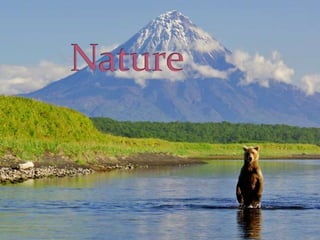 Russia - The Country