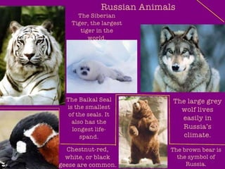 Russia - The Country