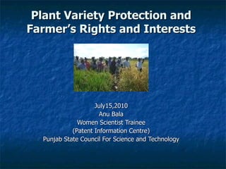 Plant Variety Protection and Farmer’s Rights and Interests July15,2010 Anu Bala Women Scientist Trainee (Patent Information Centre) Punjab State Council For Science and Technology 