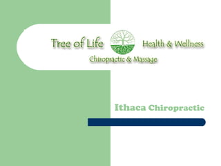 Ithaca Chiropractic 
Ithaca Chiropractic 
 