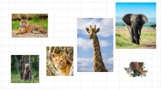 「write」に関連した英語例文の一覧と使い方 - Weblio英語例文検索 visual data 3