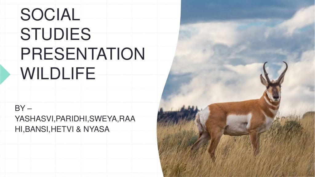 「write」に関連した英語例文の一覧と使い方 - Weblio英語例文検索 visual data 4