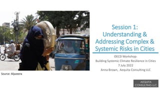 Session 1:
Understanding &
Addressing Complex &
Systemic Risks in Cities
OECD Workshop:
Building Systemic Climate Resilience in Cities
7 July 2022
Anna Brown, Aequita Consulting LLC
AEQUITA
CONSULTING LLC
Source: Aljazeera
 