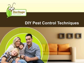 DIY Pest Control Techniques
 