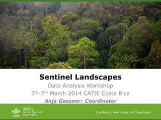 Sentinel Landscapes
Data Analysis Workshop
3rd-7th March 2014 CATIE Costa Rica
Anja Gassner: Coordinator
 